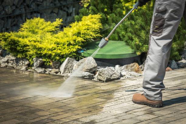 Boat and Dock Cleaning in Appalachia, VA