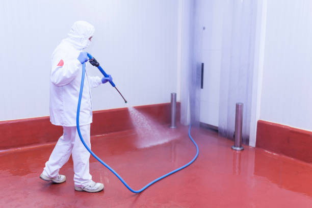 Professional Pressure Washing Services in Appalachia, VA
